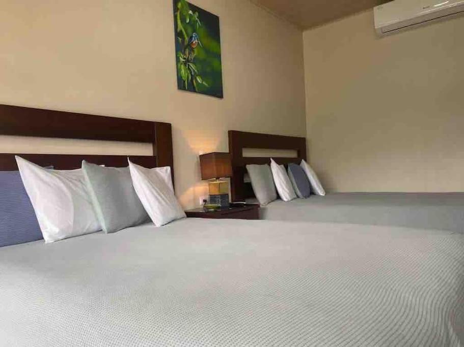 Lisa Loft Boutique Apartment La Fortuna 외부 사진