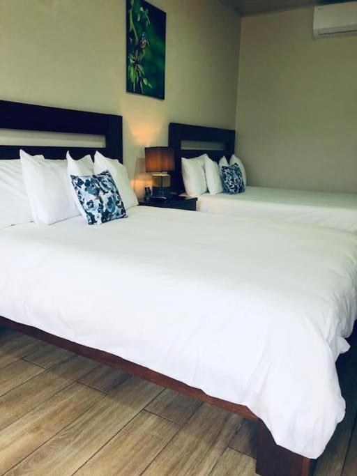 Lisa Loft Boutique Apartment La Fortuna 외부 사진