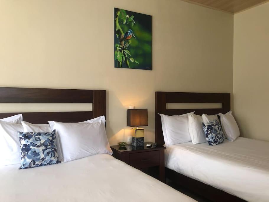 Lisa Loft Boutique Apartment La Fortuna 외부 사진